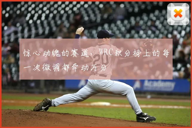 惊心动魄的赛道，WRC积分榜上的每一次微调都牵动万分