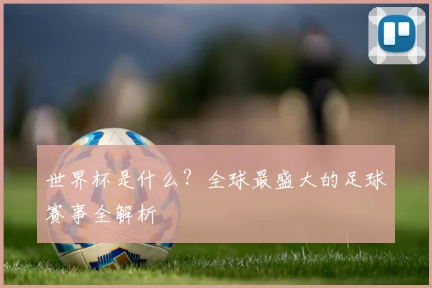 世界杯是什么？全球最盛大的足球赛事全解析